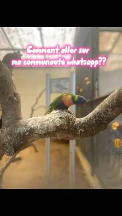 Tuto whatsapp
