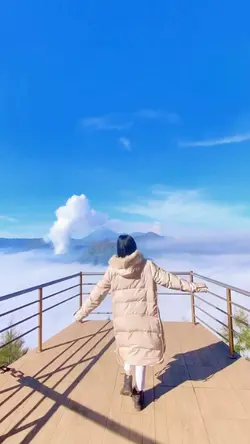 1 video / 12 Foto