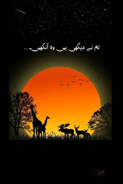 Urdu Poetry 