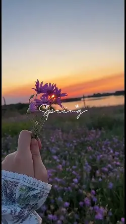 Spring Vibes