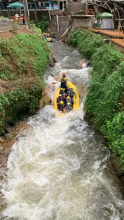arum jeram