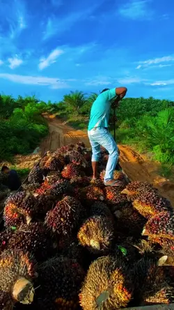 Aku anak kampung