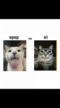 epep vs rl