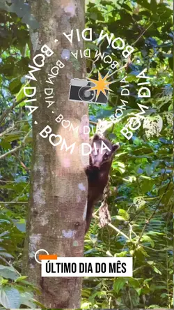 último dia do mês 