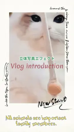 『立体写真Vlog』