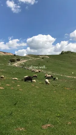 All too well