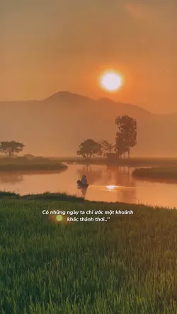 Có những ngày ta chi