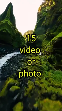 15 video or picture 