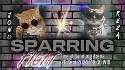fighting boxing