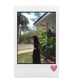 polaroid