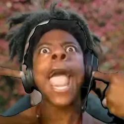 ishowspeed's n word