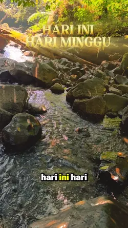 Hari Minggu