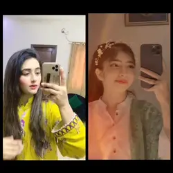 15 August 
