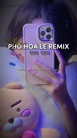 Phố Hoa Lệ Remix 