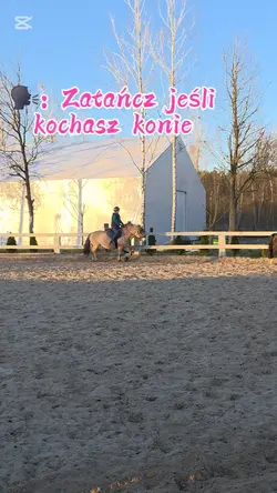 Dzisiaj nie będę akt