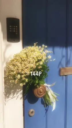 144P vs 4K
