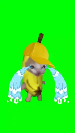 kucing pisang nangis