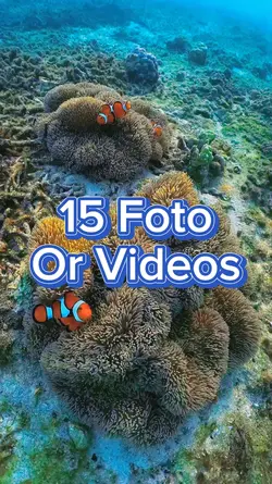 15 video slides