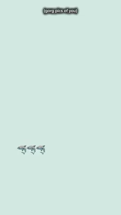 sharksharkshark