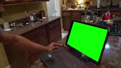 ฟีด