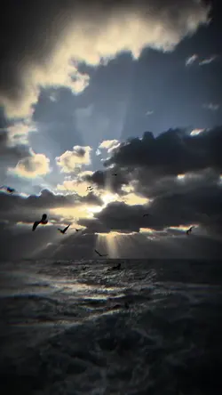 Slow