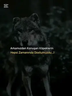 ..