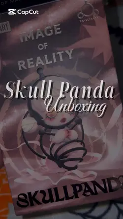 SKULLPANDA: UNBOXING