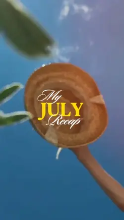 july recap