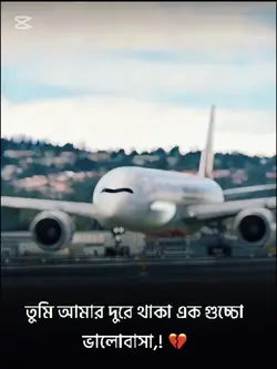 তুমি আমার একগুচ্ছ 