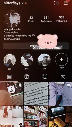 Second Account IG