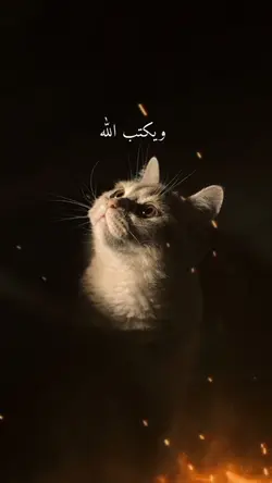 ويكتب الله nasheed