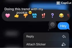 Text prank on bbg 
