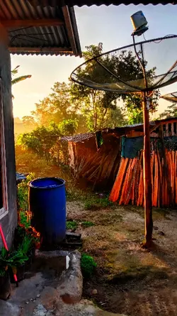 suasana pagi hari