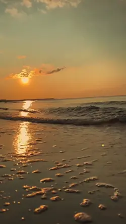 SlowMo 