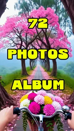 New Photo Album 