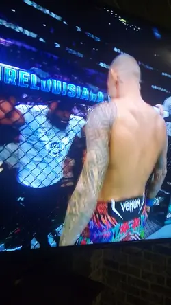 Fight Night