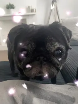 Ive got sunshine 