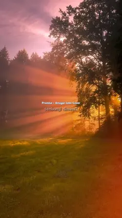 PROMISE
