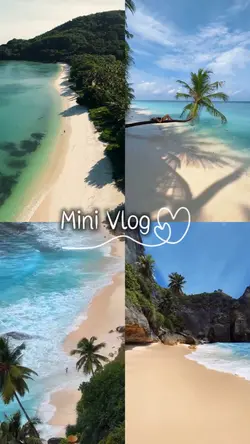Mini Vlog