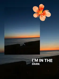 In the dark 
