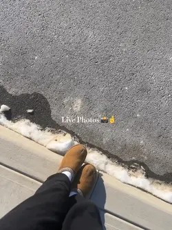 Live Photos 🤞