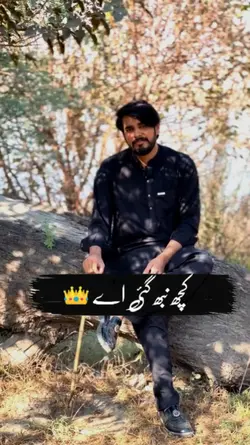 Punjabi poetry 2025