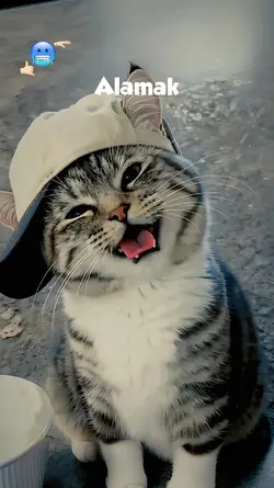 lirik estetik