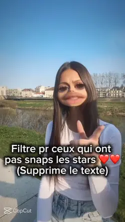 Filtre snap drôle 