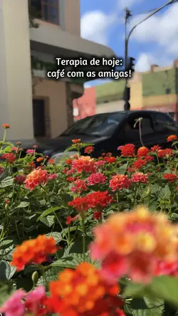 Terapia de hoje 
