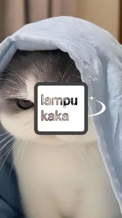 JJ poji senta 