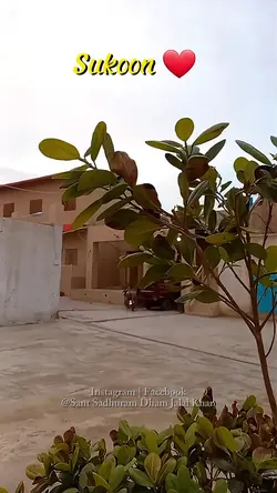 Sukoon