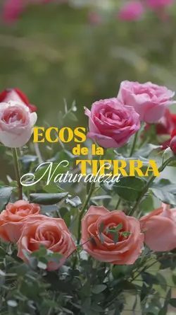 ECOS DE LA TIERRA