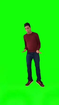 Bird Dance Meme