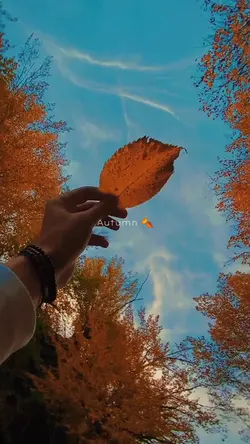 Autumn Days